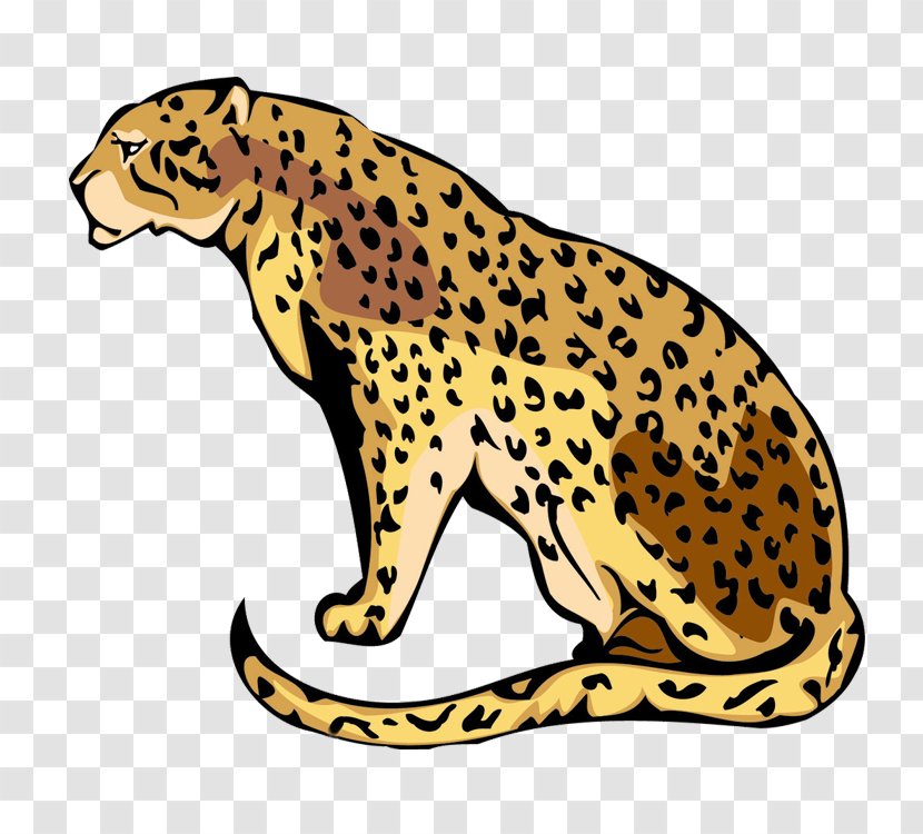 Leopard Tiger Cartoon - Cat Like Mammal Transparent PNG