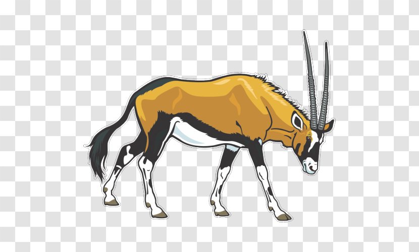 Gemsbok Antelope Clip Art - Carnivoran Transparent PNG