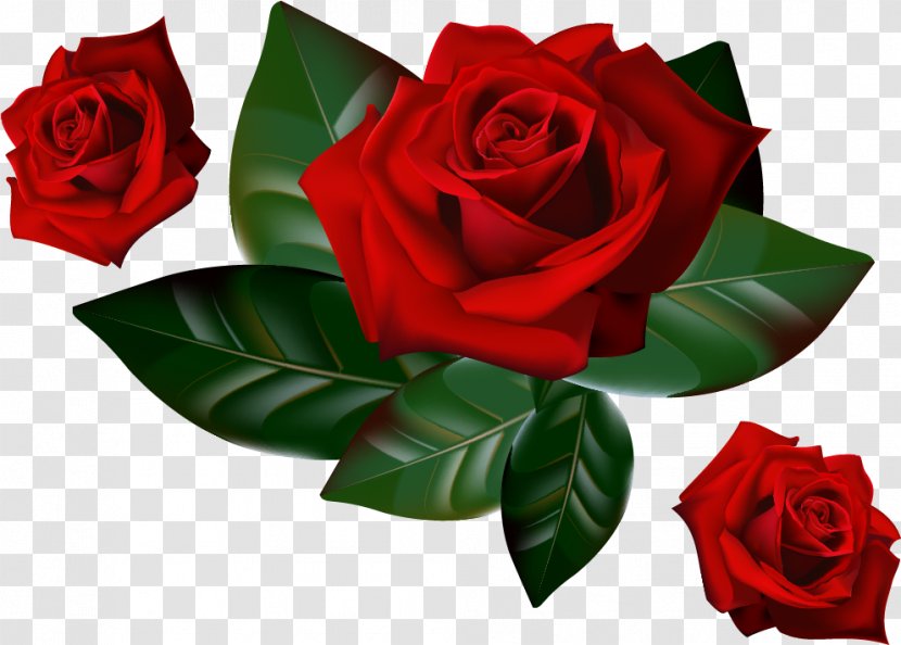 Rose Desktop Wallpaper Clip Art - Floristry - Red Decorative Transparent PNG