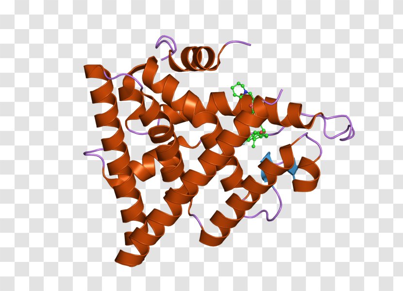 Estrogen Receptor Alpha Nuclear NRIP1 - Silhouette - Frame Transparent PNG