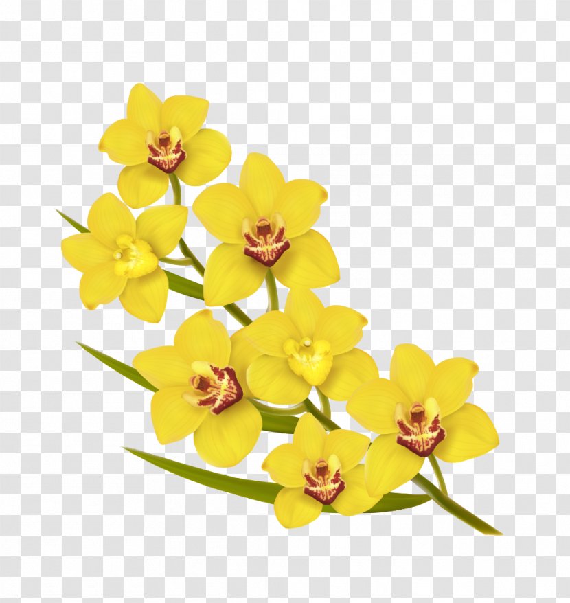 Flower Yellow Euclidean Vector Illustration - Cut Flowers - Blooming Transparent PNG