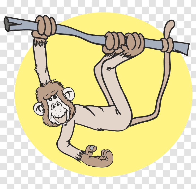 Monkey Finger Clip Art - Vertebrate Transparent PNG