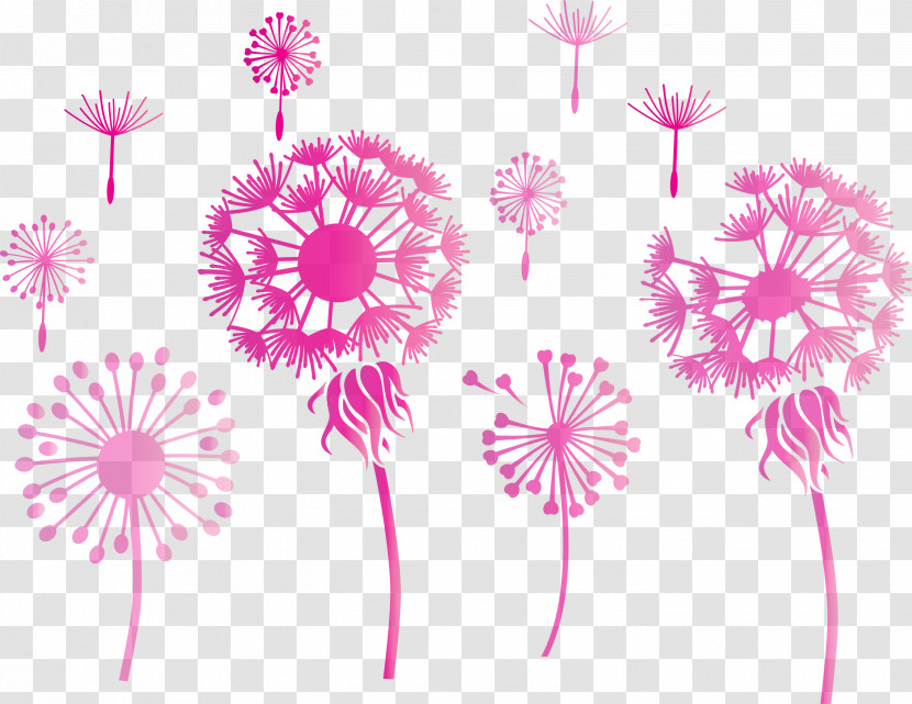 Dandelion Transparent PNG