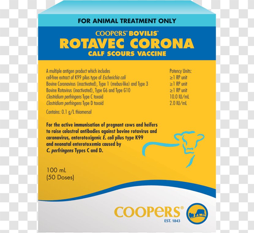 Cattle Calf Rotavirus Vaccine - Virus - Cows And Calves Transparent PNG
