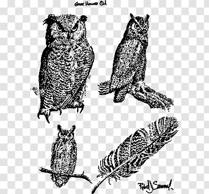 Great Horned Owl Bird Snowy Barn Transparent PNG