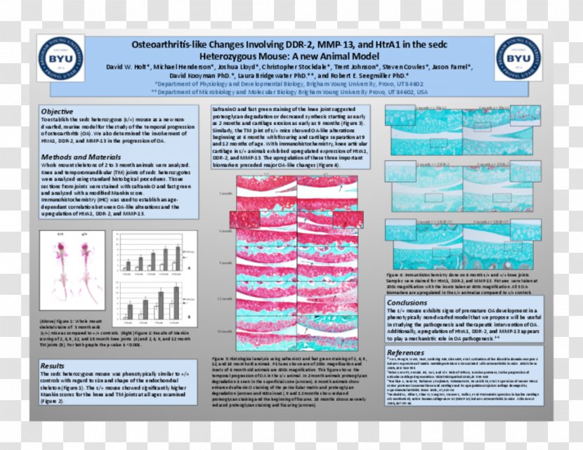 Osteoarthritis Research Society International Medical Guideline Medicine Therapy - Taobao Full-screen Poster Background Transparent PNG