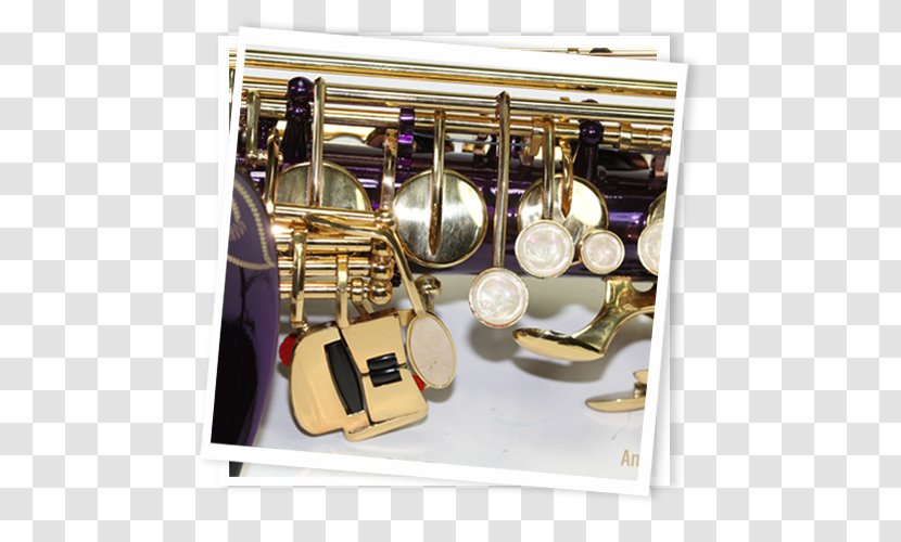 Cornet 01504 - Wind Instrument - Alto Sax Transparent PNG