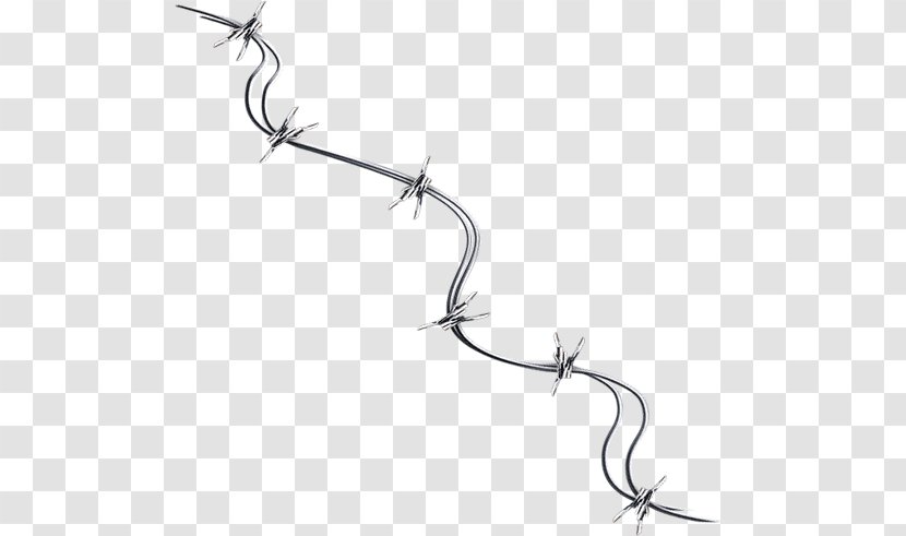 Black And White - Painting - Twig Transparent PNG
