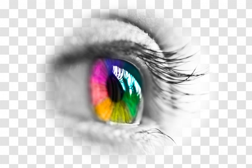 Contact Lenses Eye Iris - Tree Transparent PNG