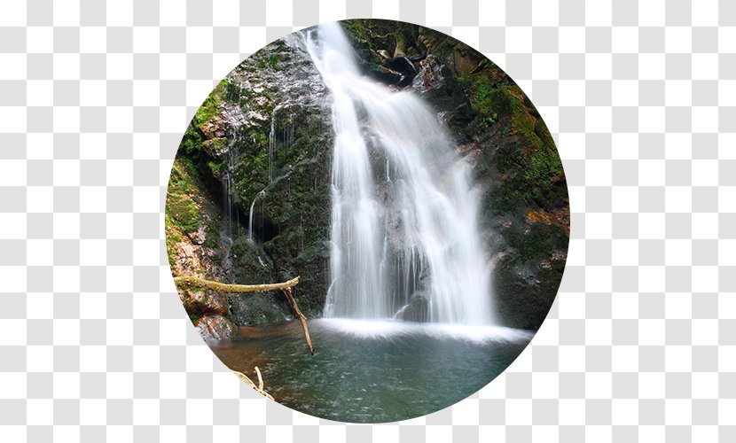 Erratzu Waterfall Etxalar Bidasoa Xorroxin Ur-jauzia - State Park - Waterfalls Flow Transparent PNG
