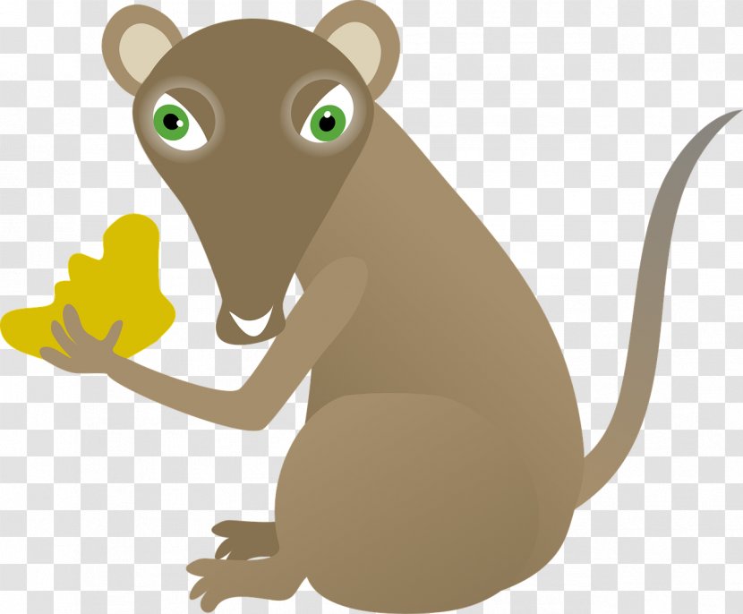 Computer Mouse Cheese Sandwich Clip Art - Organism - Mice Transparent PNG