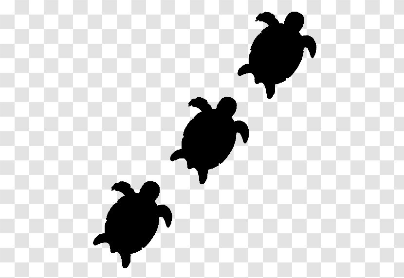 Sea Turtle Clip Art Black & White - Olive Ridley - M Tortoise Transparent PNG