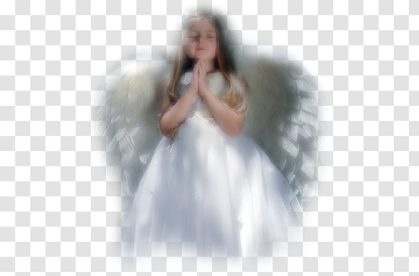 Angel Animaatio Heaven Giphy - Flower Transparent PNG