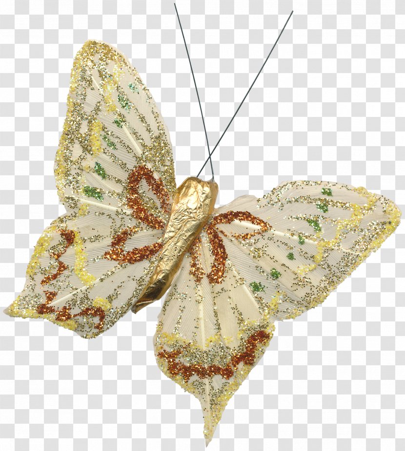 Butterfly Moth Insect - Pollinator Transparent PNG