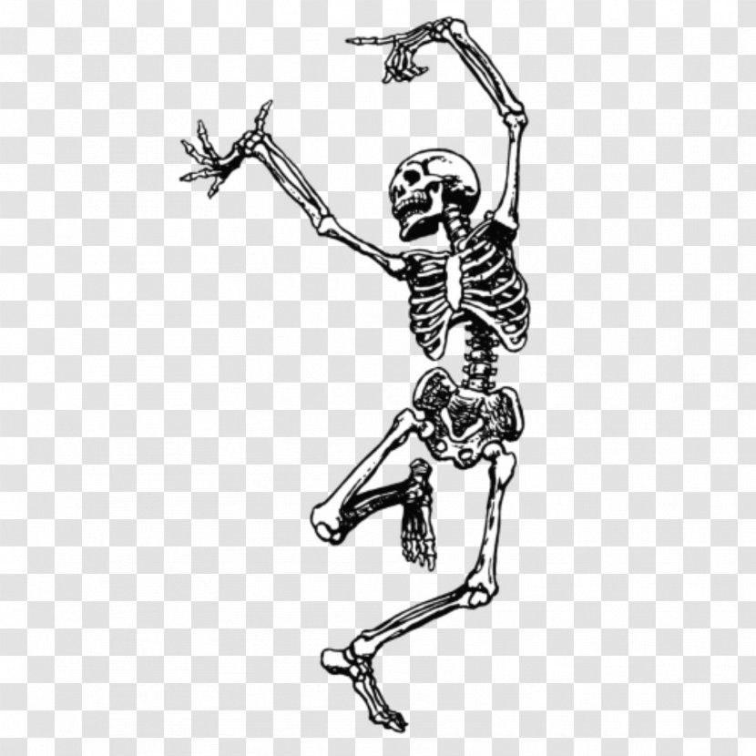 Dance Skeleton Skull Image Illustration - Sports Equipment Transparent PNG