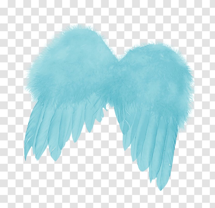 Feather Angels Angel Wing Transparent PNG