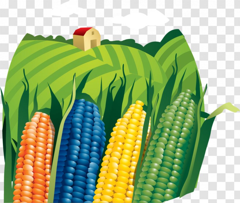 Farmer Agriculture Clip Art - Drawing - Corn Field Transparent PNG