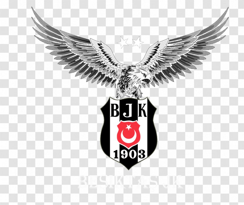 Beşiktaş J.K. Football Team Paper UEFA Champions League Wall Wallpaper - Android Transparent PNG