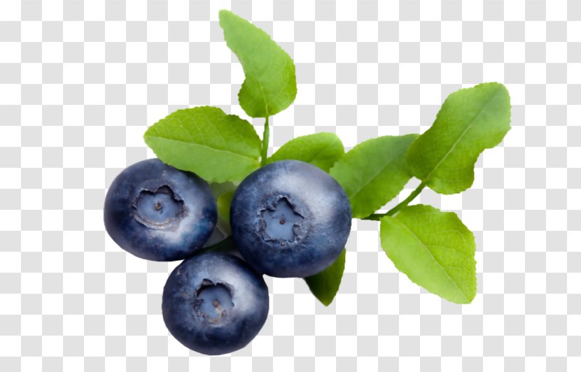 Blueberry Bilberry Lingonberry Varenye Huckleberry Transparent PNG