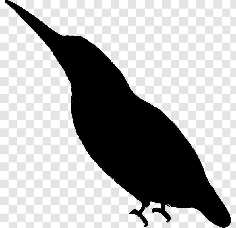 Beak Clip Art Fauna Silhouette - Songbird Transparent PNG