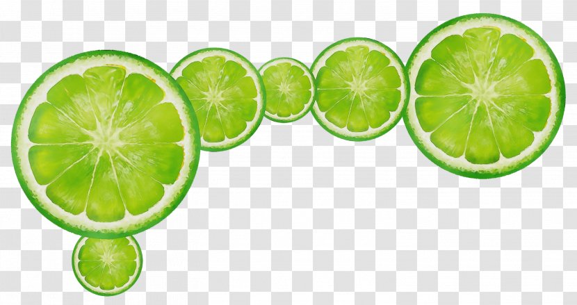 Key Lime Green Citrus Persian - Plant - Lemonlime Transparent PNG