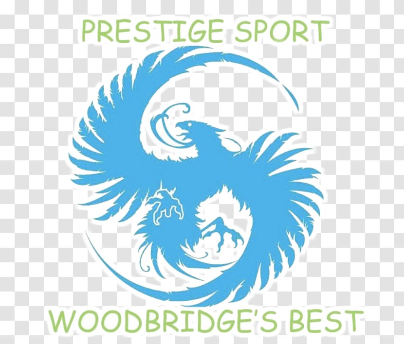 Manassas Prestige Sport Martial Arts Karate Jujutsu - Wood Bridge Transparent PNG