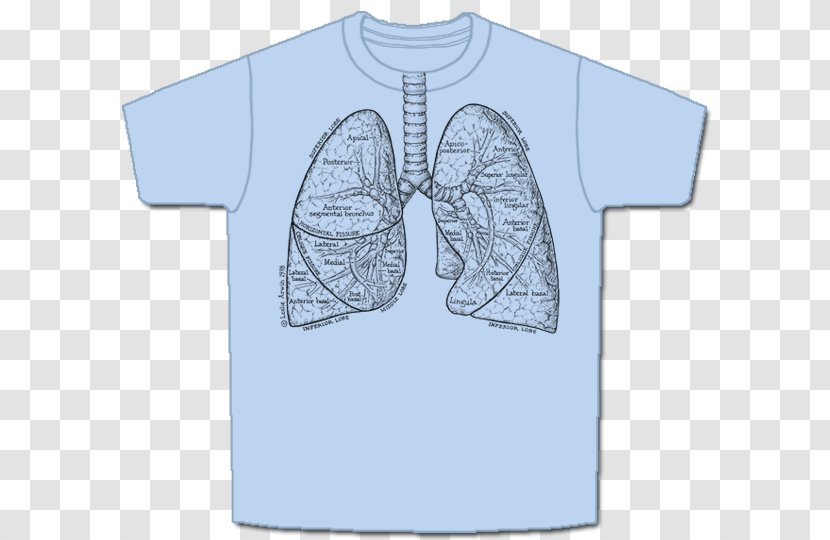 T-shirt Human Digestive System Respiratory Sleeve - Frame Transparent PNG