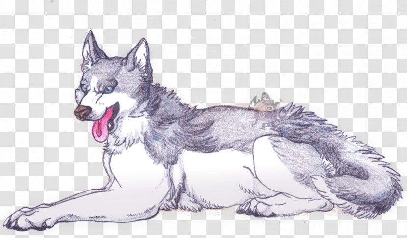 Saarloos Wolfdog Czechoslovakian Siberian Husky Dog Breed Sketch - Fur Transparent PNG