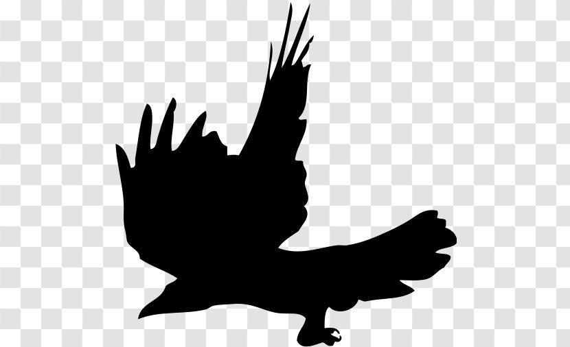 Crow Silhouette Beak Clip Art - Family - Logo Transparent PNG