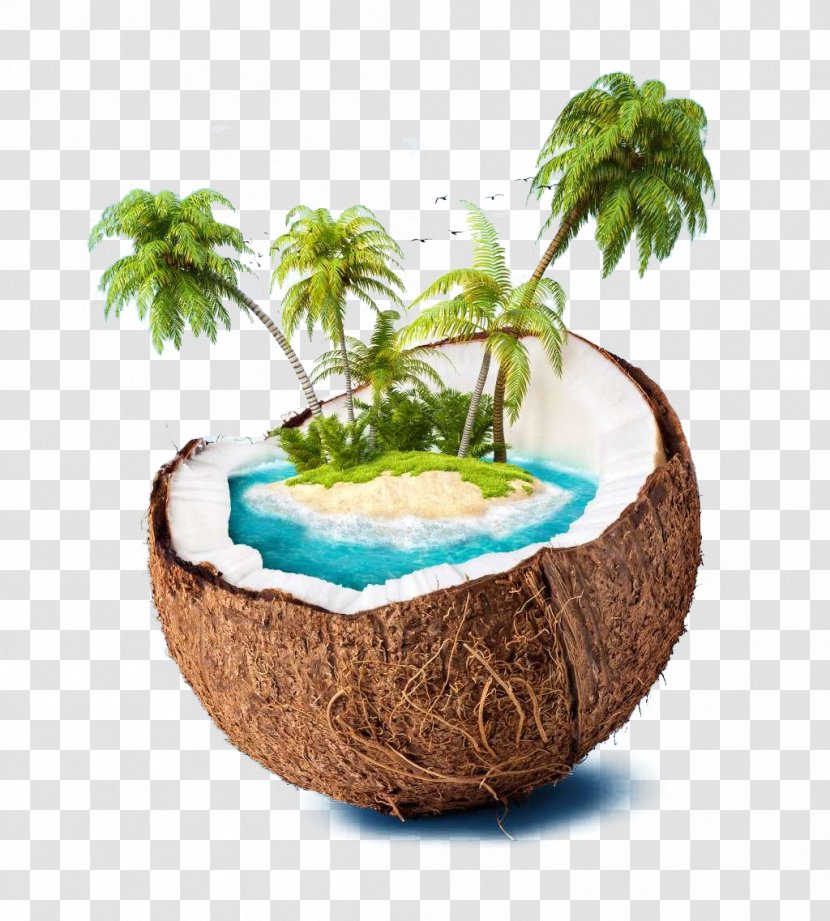 Coconut Island Water High-definition Television Wallpaper - Arecaceae - Creative Palm Transparent PNG