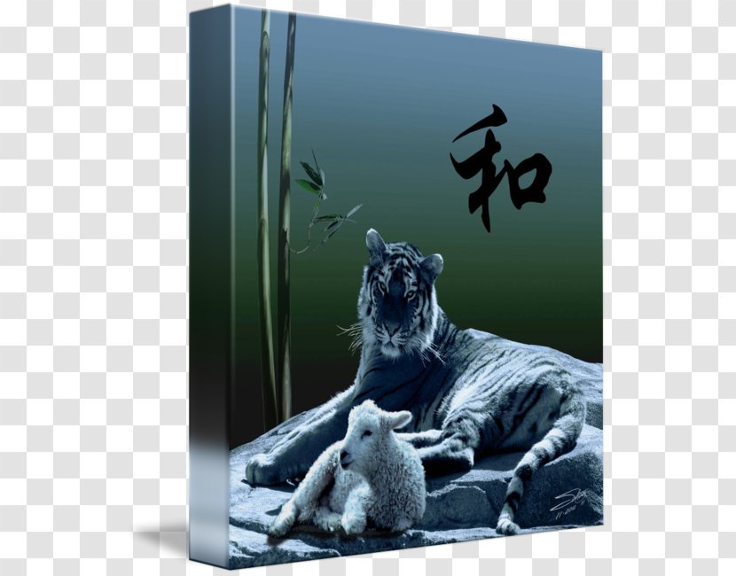 Tiger Cat Gallery Wrap Canvas Australia China Youth Association - Like Mammal Transparent PNG
