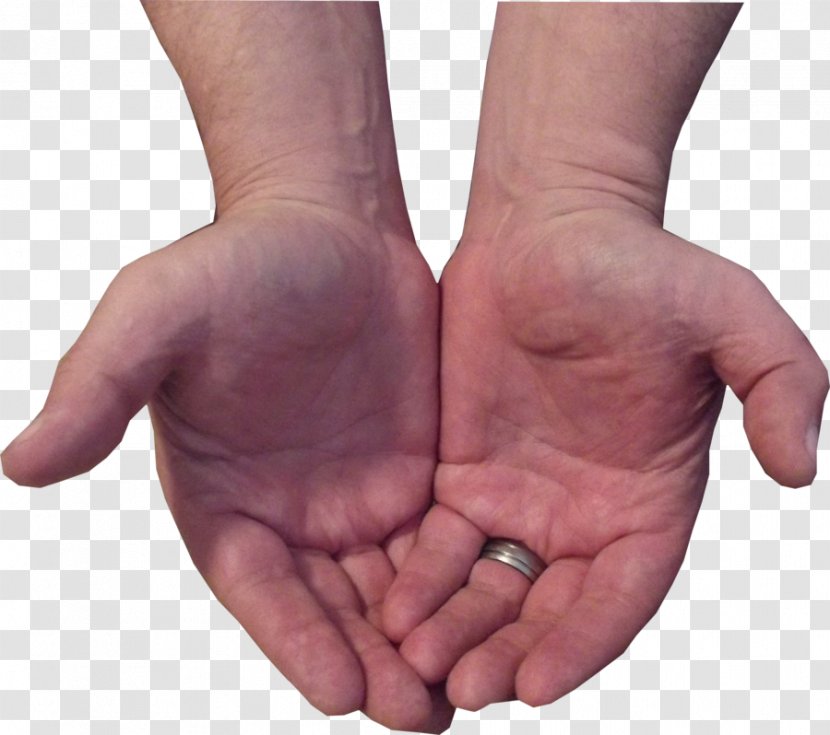 Hand Model Finger Thumb - Handshake - Big Little Transparent PNG