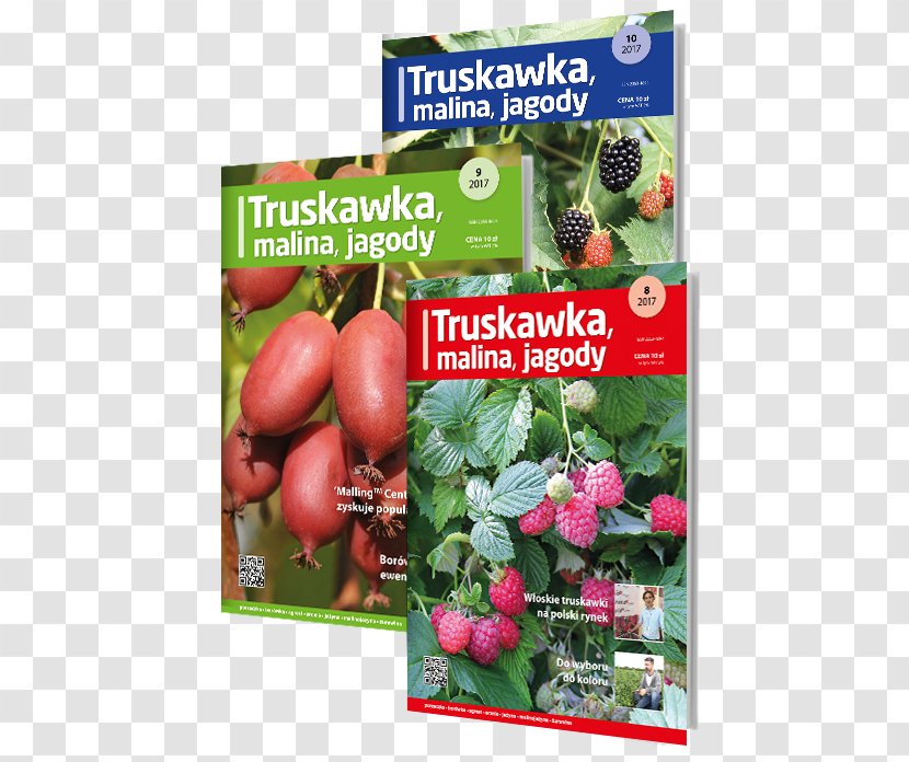 Gooseberry Plantpress Sp. Z O.o. Hasło Ogrodnicze Boysenberry Fruit Picking - Plant Transparent PNG