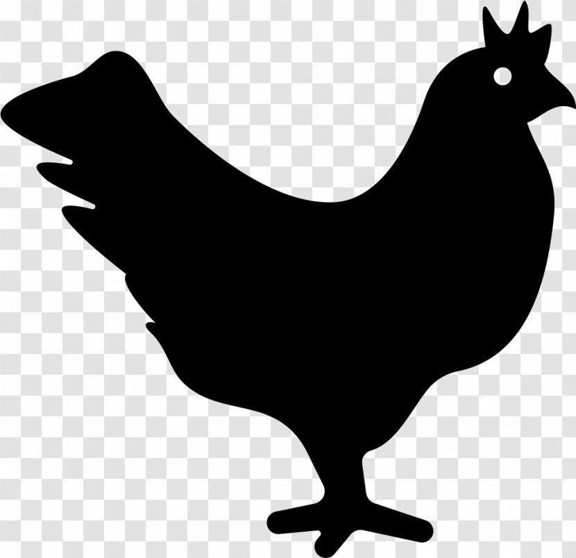 Chicken Avian Influenza - Rooster Transparent PNG