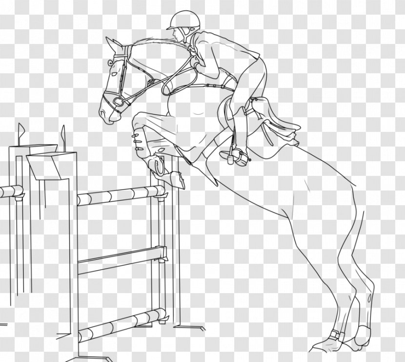 Horse Bridle Show Jumping Equestrian - Line Art Transparent PNG