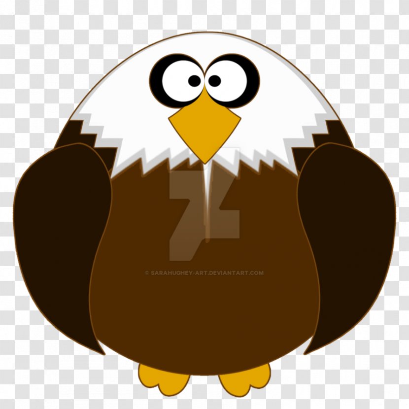 Bald Eagle Fat Image Owl - Blackandwhite Hawkeagle Transparent PNG