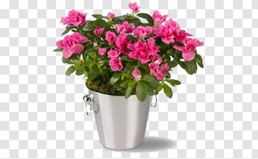 Floristry Flower Delivery Bouquet Floral Design - Basket Transparent PNG