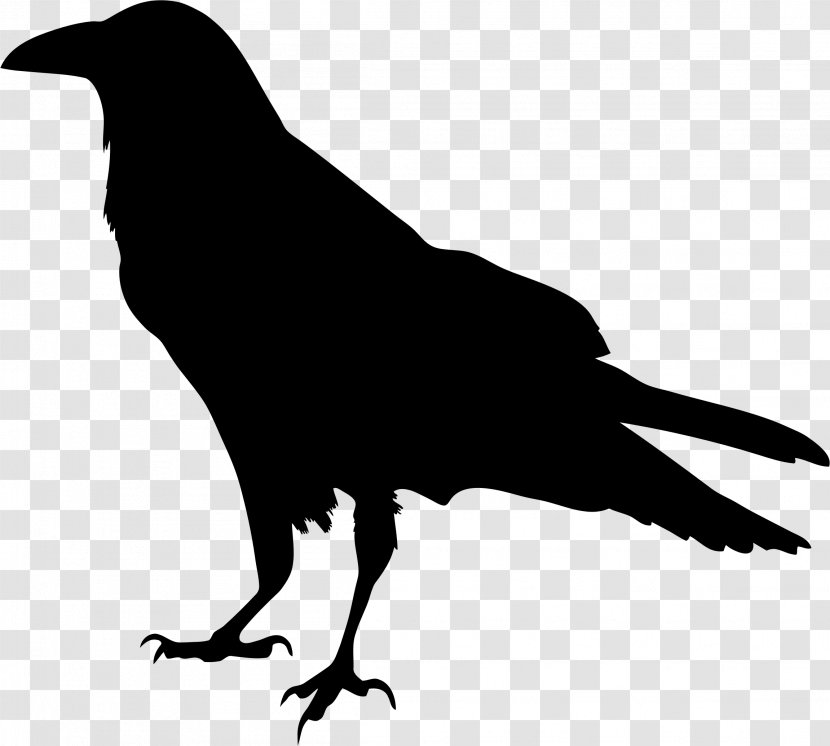 Silhouette Drawing Clip Art - Common Raven - Silhouettes Transparent PNG