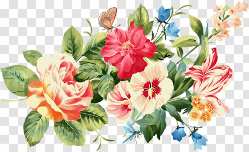 Centifolia Roses Garden Cut Flowers - Rose Family - Flower Transparent PNG