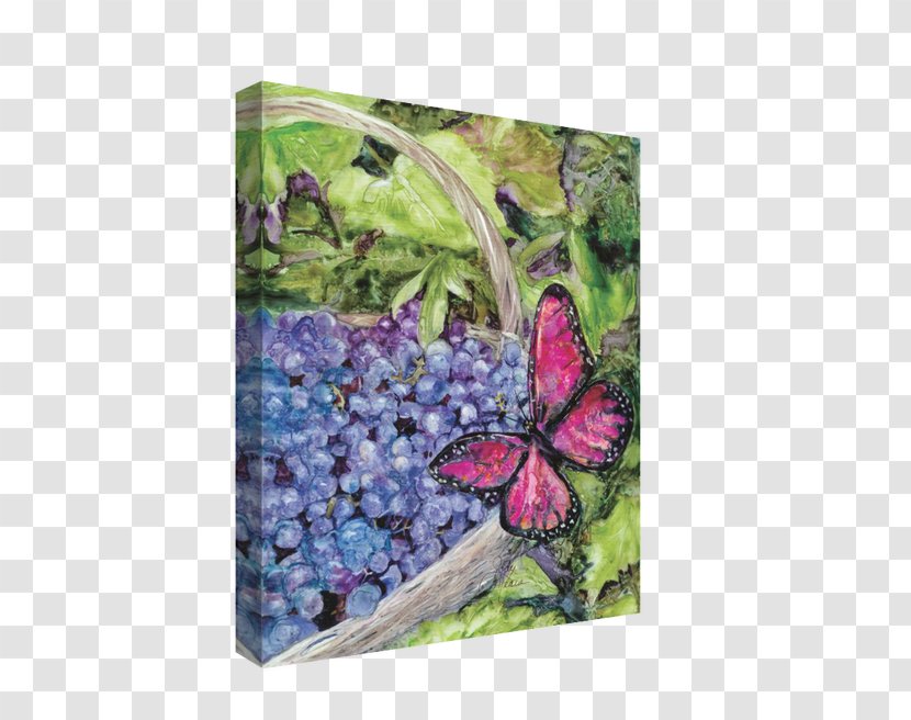 Lilac Canvas Grape Rainbow Card Company Inch - Moths And Butterflies Transparent PNG