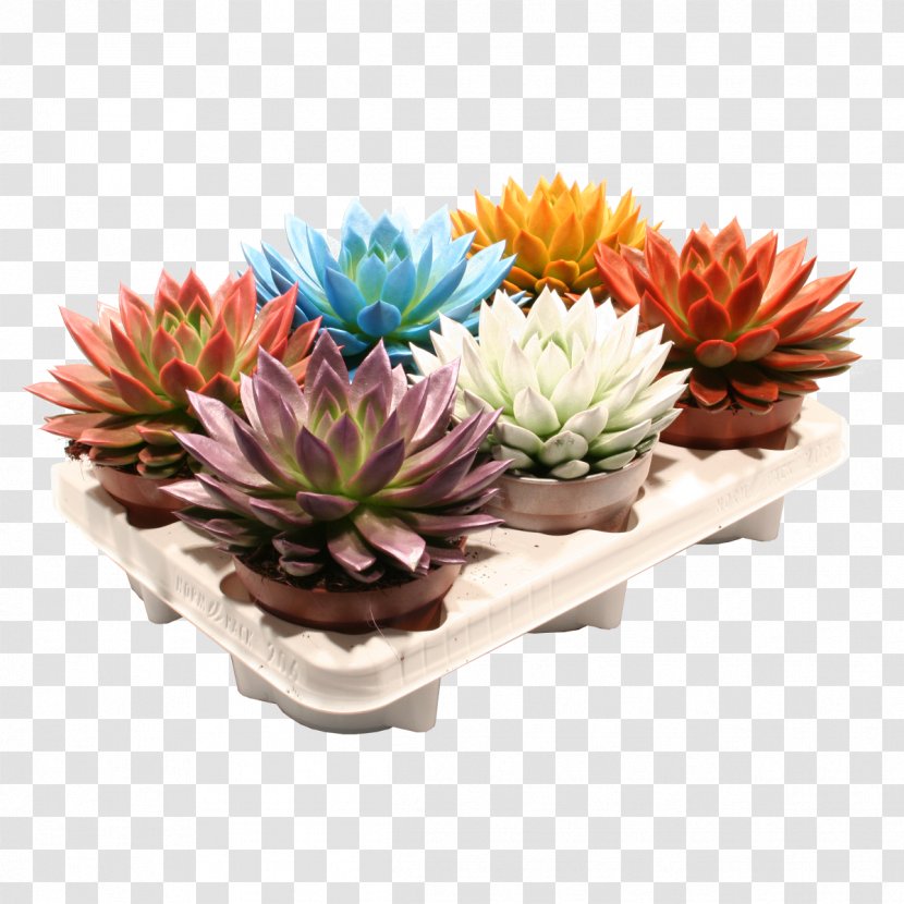 Cut Flowers Flowerpot Artificial Flower Houseplant - Vase Transparent PNG