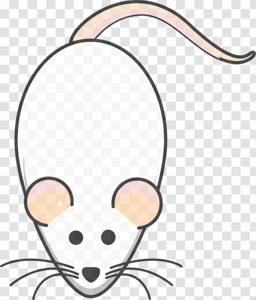 Head Nose Snout Rat Cartoon - Tail Whiskers Transparent PNG