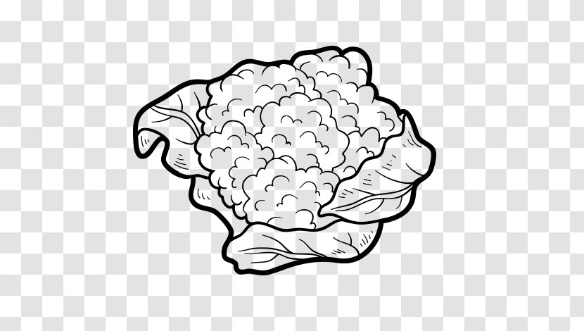 Drawing Cauliflower Vegetable Broccoli Coloring Book - Flower Transparent PNG