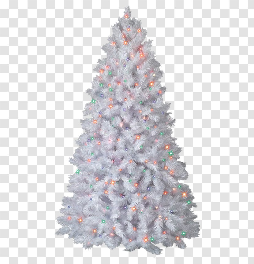 New Year Tree Christmas - Pine Transparent PNG