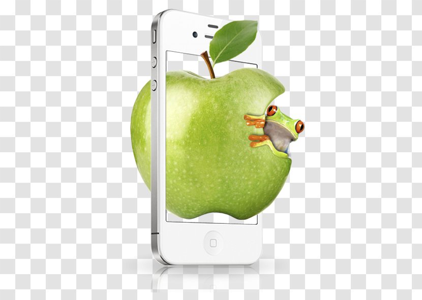 IPhone 4 5 Apple Google Images - Kiwi - Phone Box Blue Frog Transparent PNG
