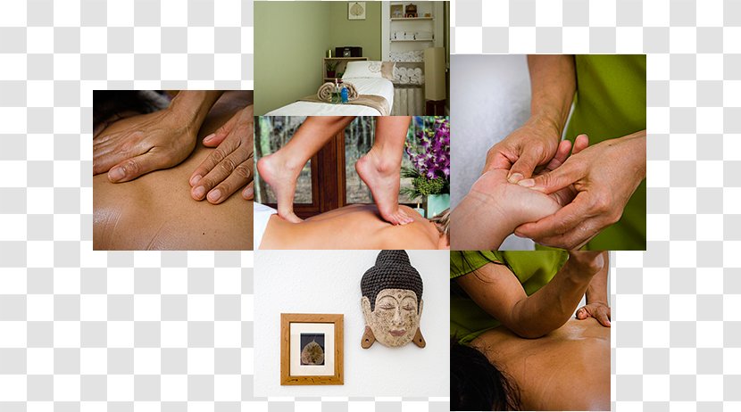 The Thai Massage Centre Parlor Therapy - Of Stockton Transparent PNG
