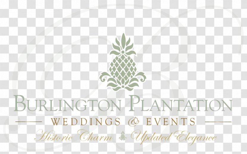 Colonial Williamsburg Burlington Plantation Richmond James River Logo - Accommodation - Charmed Transparent PNG