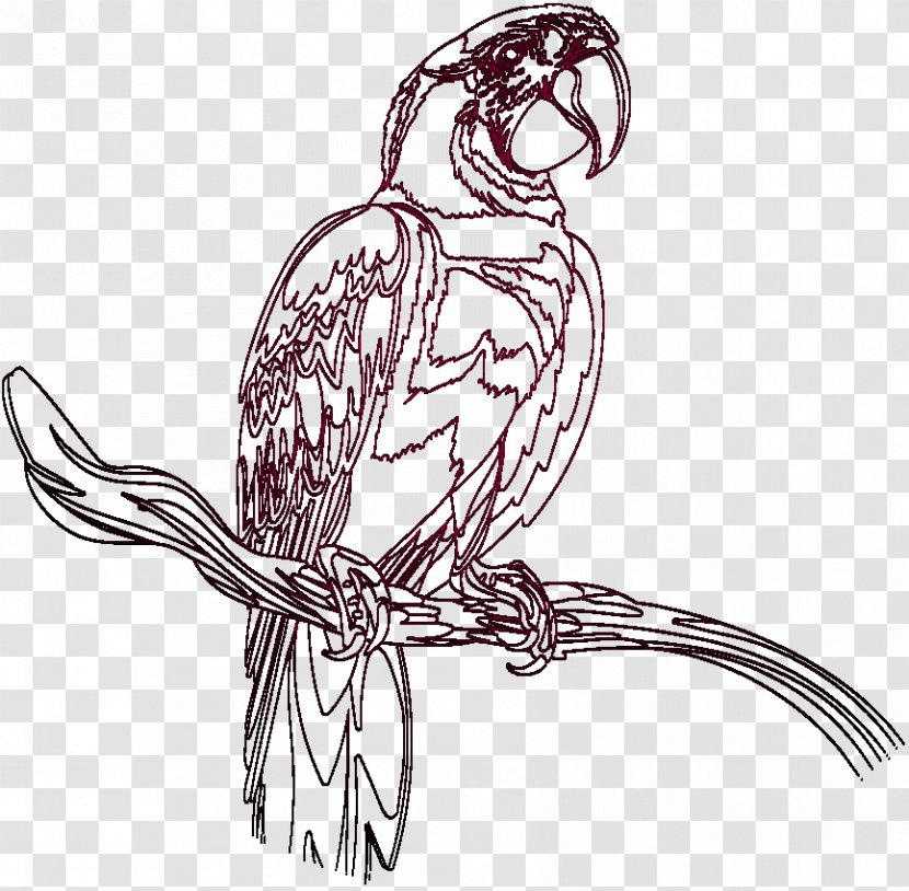 Chicken Parrot Line Art Beak Bird - Of Prey - Zoo Park Transparent PNG