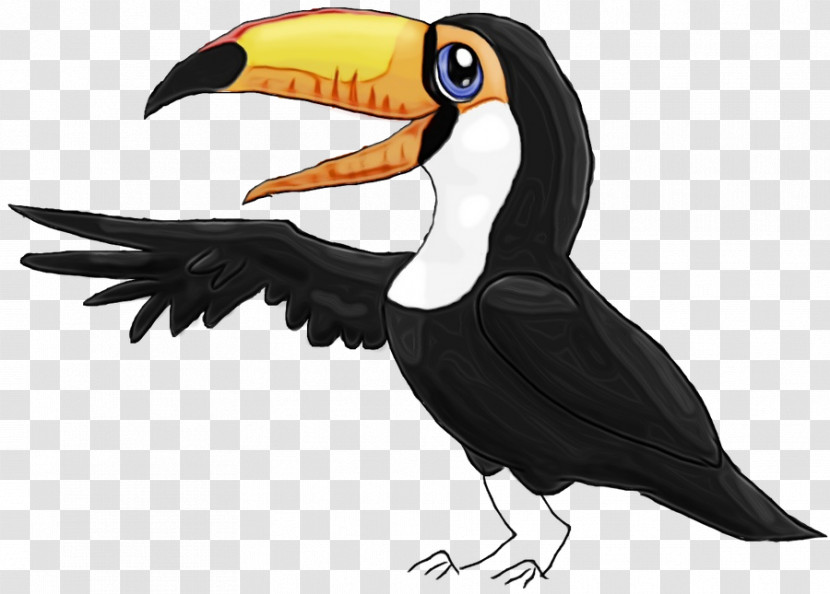 Toucans Hornbill Piciformes Beak Science Transparent PNG