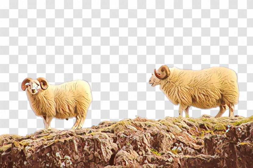 Sheep Fauna Herd Terrestrial Animal Snout - Grassland Transparent PNG